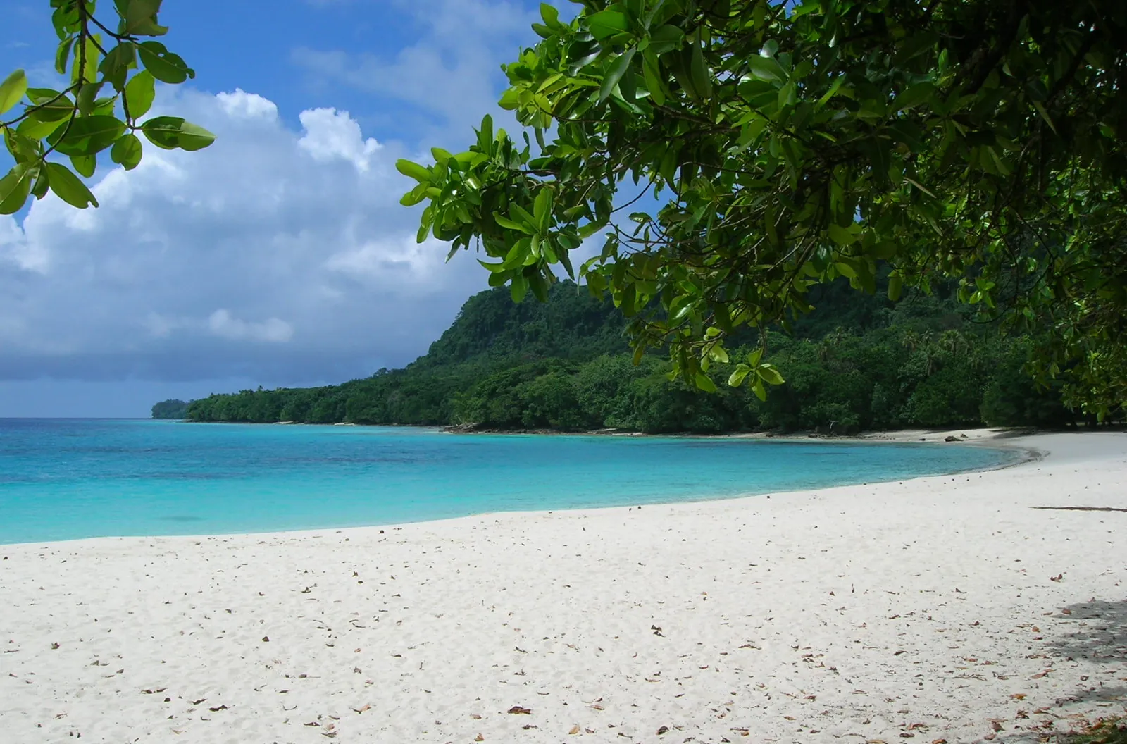 White sand and turquoise water at Champagne Beach on Espiritu Santo, Vanuatu